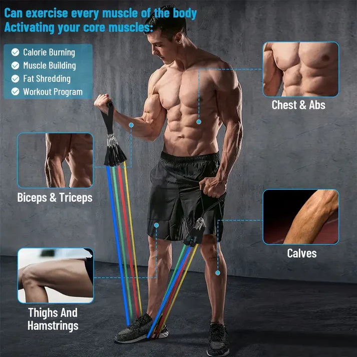 Power Resistance Band | Set Of 5